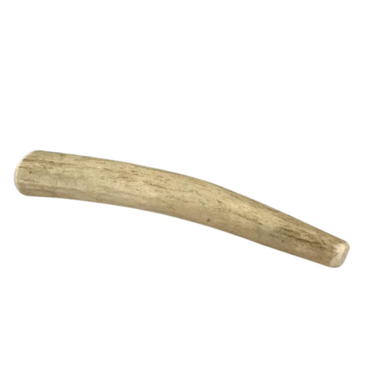 Small Whole Elk Antler Dog Chew 4 Oz USA ✅