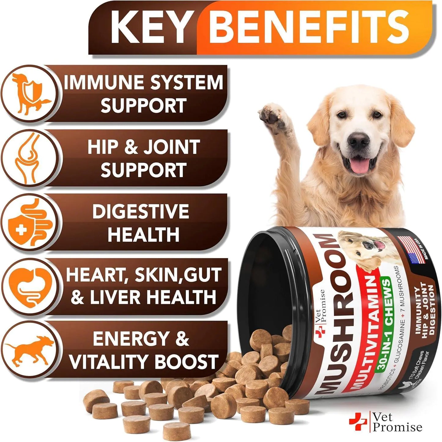 Mushroom for Dogs 170 Chews Turkey Tail Mushroom for Dogs Lions Mane Reishi