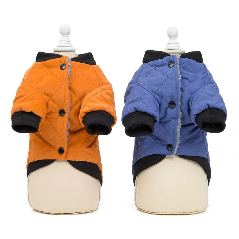 Cute Winter Padded Dog Jacket for Autumn/Winter - Mimarta