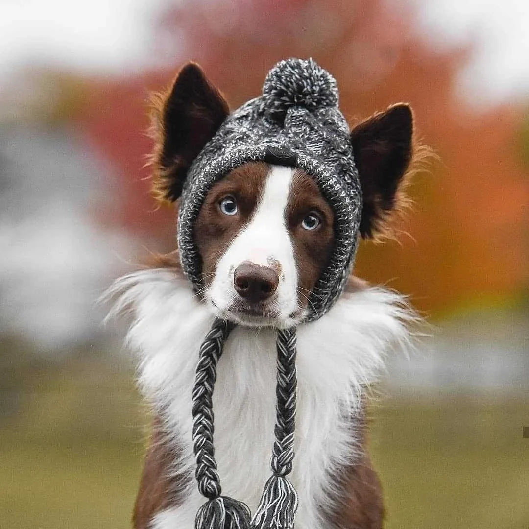 Warm Winter Pet Hat - Pet Winter Beanie - Ameraeon