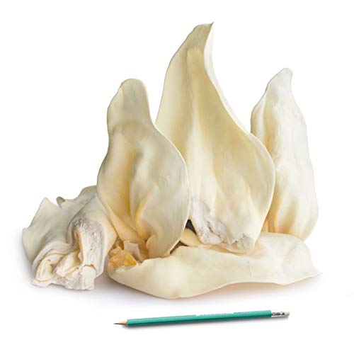 Dog Chews Cow Ears 15 Pack Natural 🦴