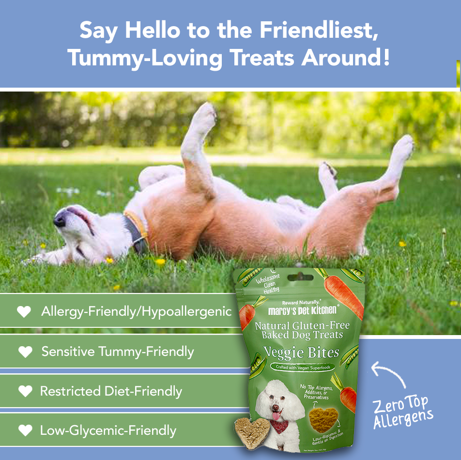 Marcy's Pet Kitchen-Vet Recommend- All Natural-Vegan Homemade,-Gluten Free-Chicken Free-for Sensitive Stomachs-Made in The USA Only - Purrfect Pet Kingdom