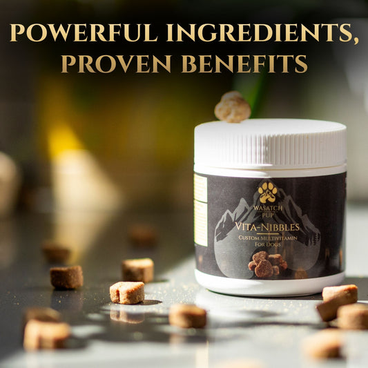 Vita Nibbles Daily Multivitamin Supplement Treats for Dogs