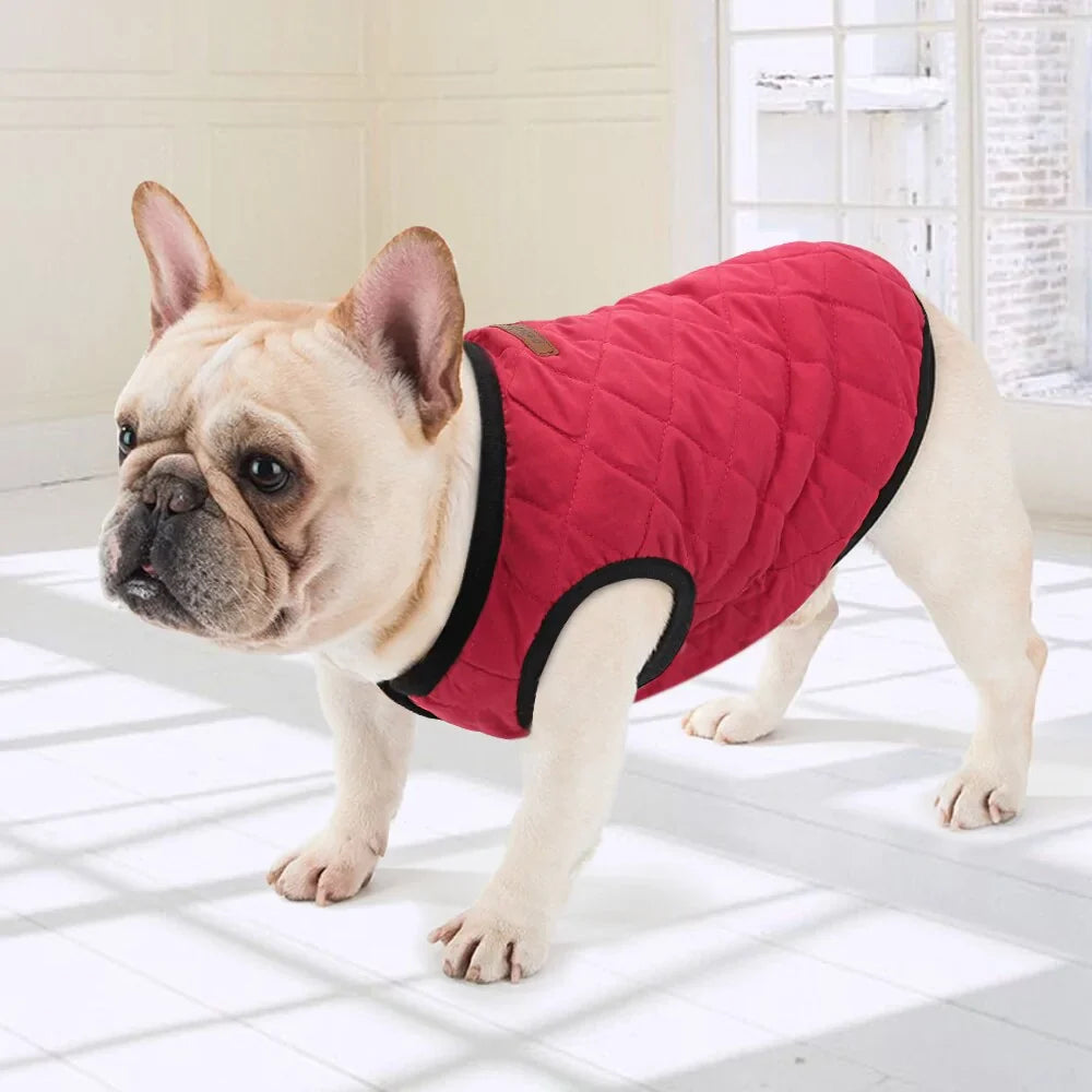 Dog Winter Jacket - Mimarta