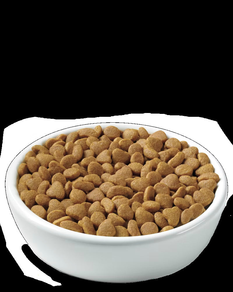 Pro Plan Weight Management Chicken Dry Cat Food (3.5lb)