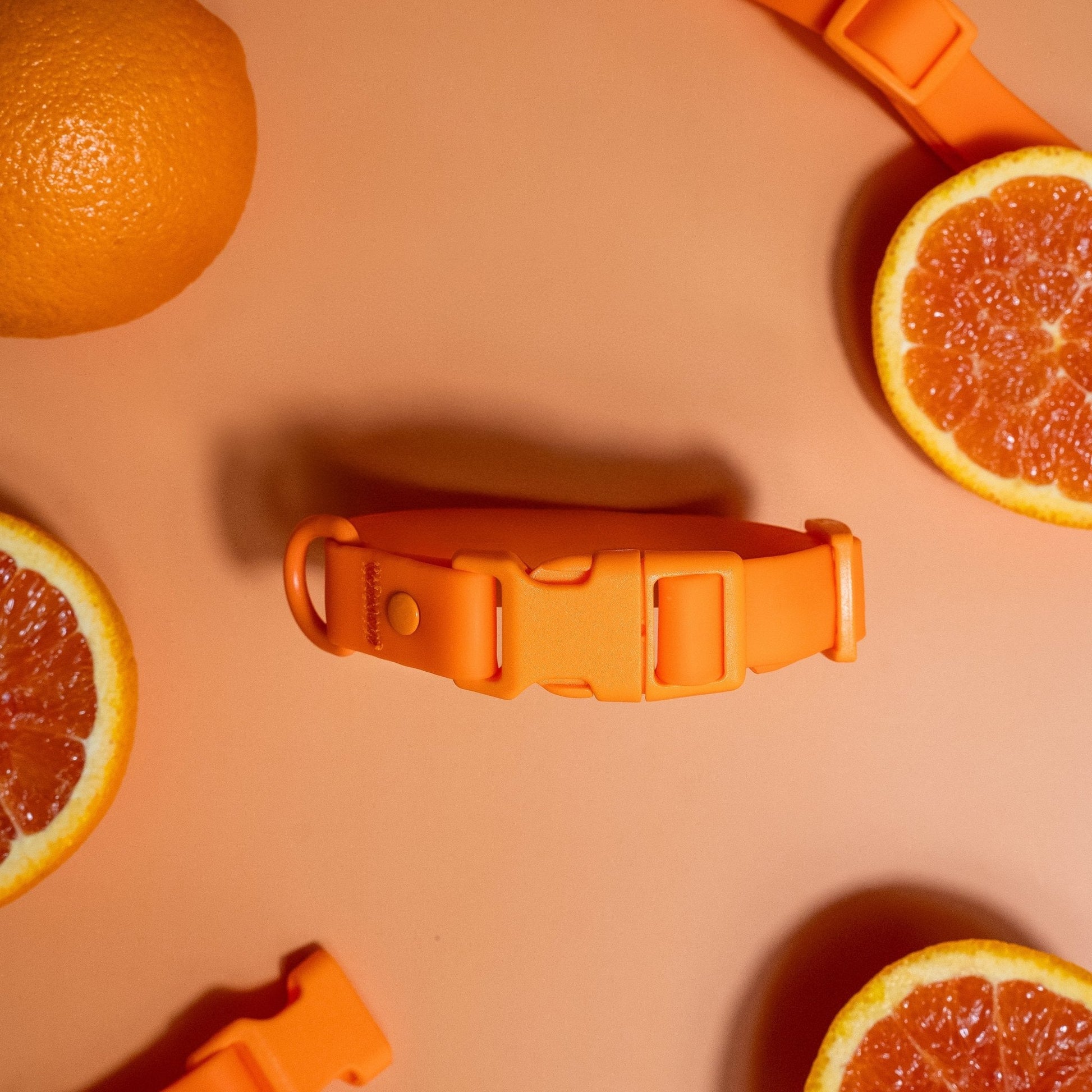 PVC Dog Collar - All Weather Waterproof Durable & Odor-Resistant - Purrfect Pet Kingdom