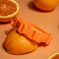 PVC Dog Collar - All Weather Waterproof Durable &