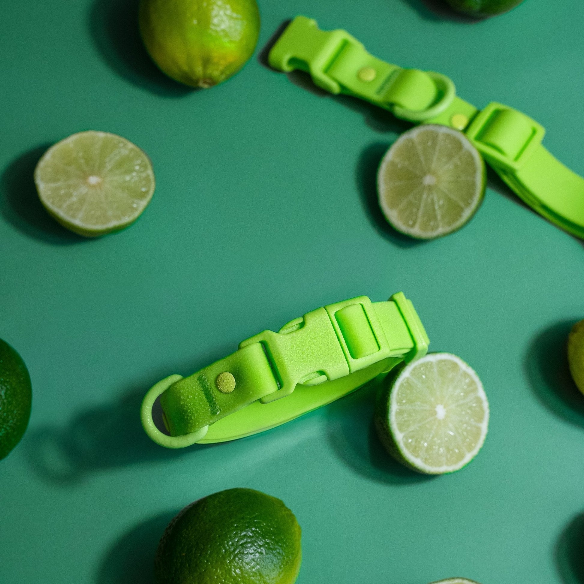 PVC Dog Collar - All Weather Waterproof Durable & Odor-Resistant - Purrfect Pet Kingdom