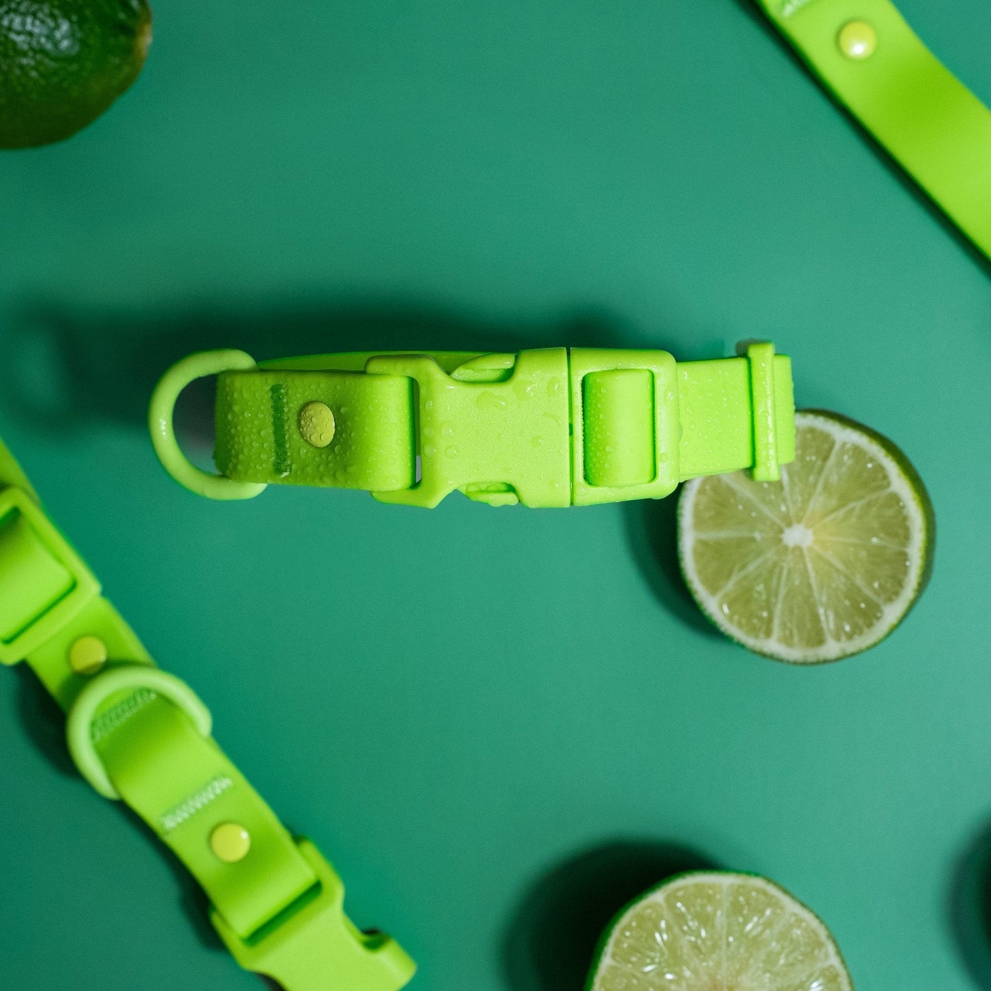 PVC Dog Collar - All Weather Waterproof Durable & Odor-Resistant - Purrfect Pet Kingdom