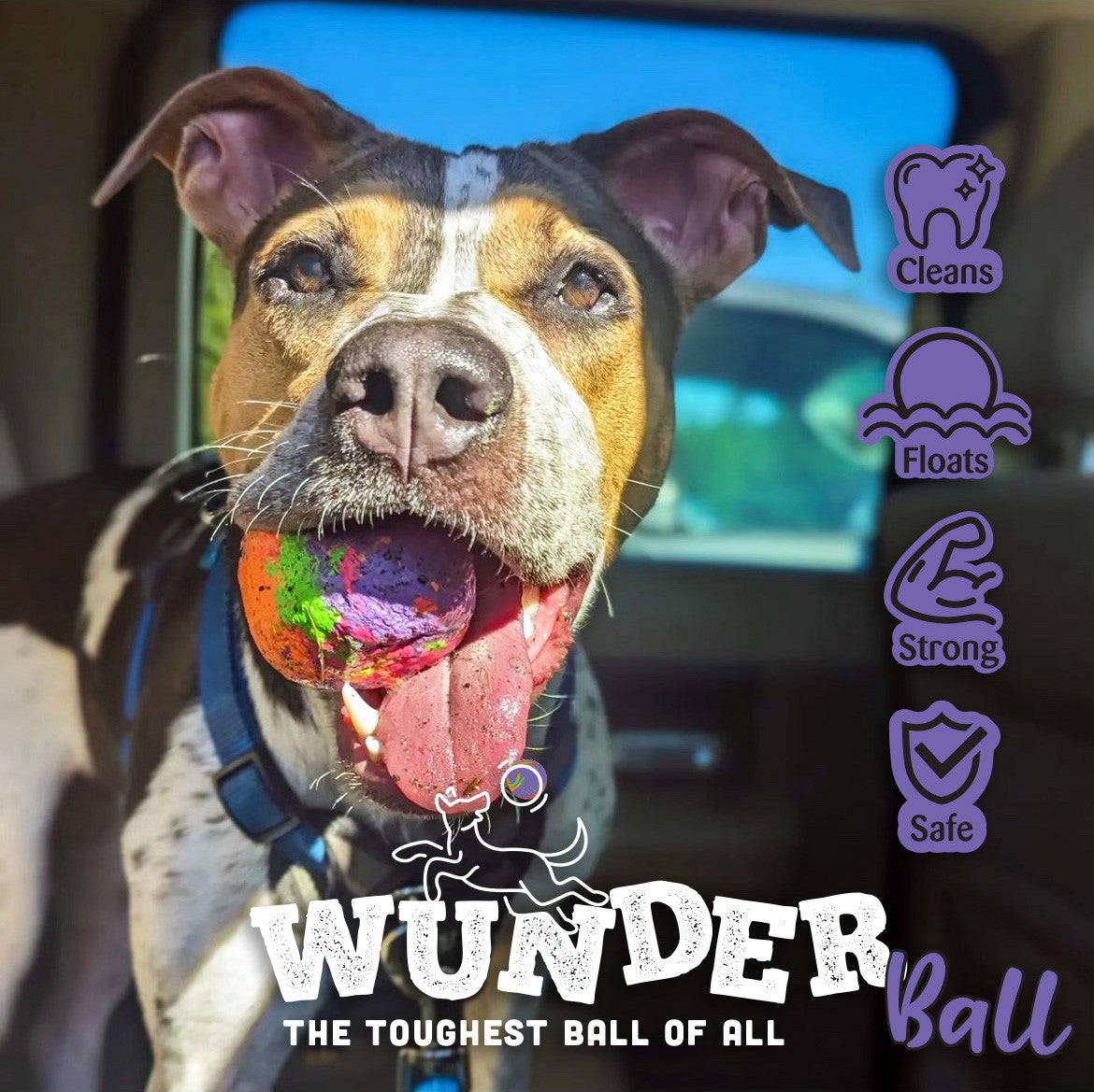 WUNDERBALL - Best Fetch Toy - Purrfect Pet Kingdom