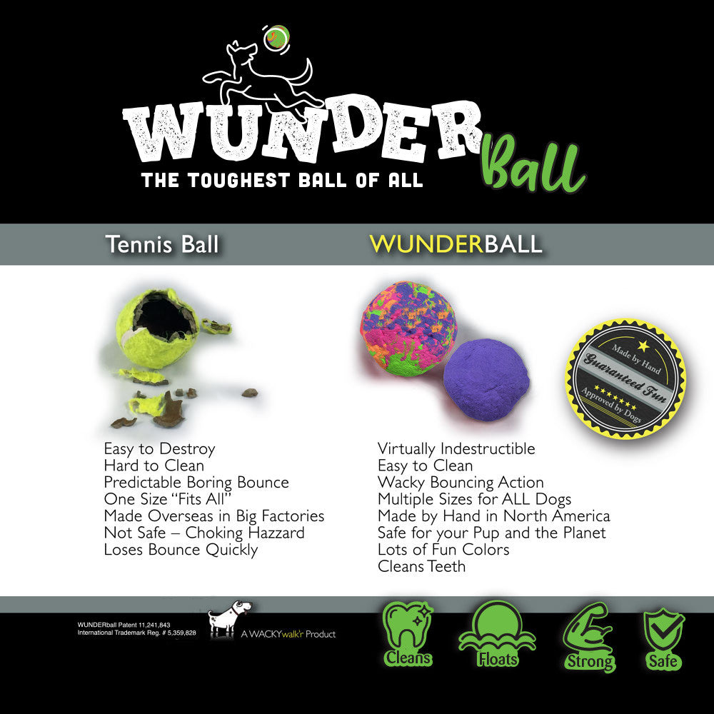 WUNDERBALL - Best Fetch Toy - Purrfect Pet Kingdom