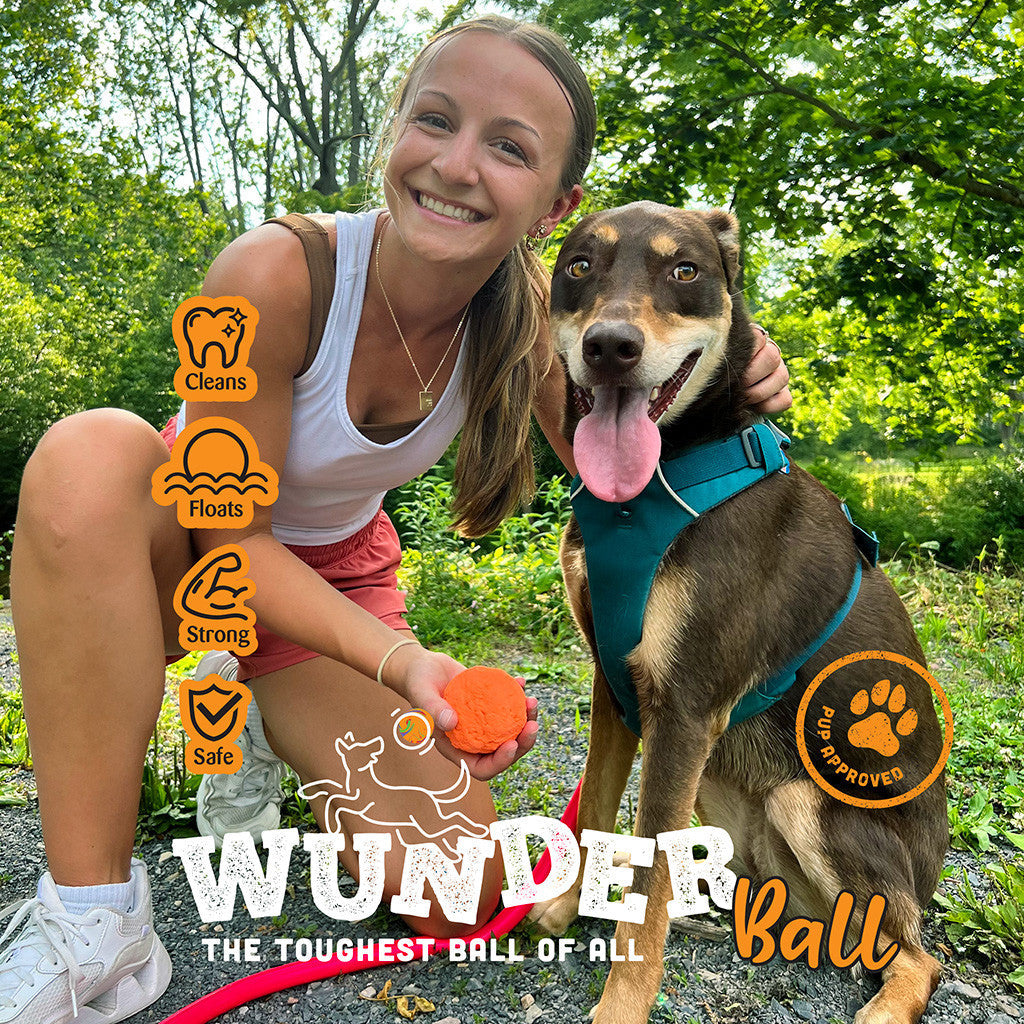 WUNDERBALL - Best Fetch Toy - Purrfect Pet Kingdom