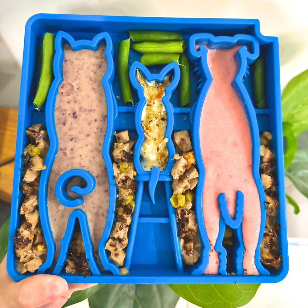 Waiting Dogs eTray - Shallow Slow Feeder Bowl for Enrichment