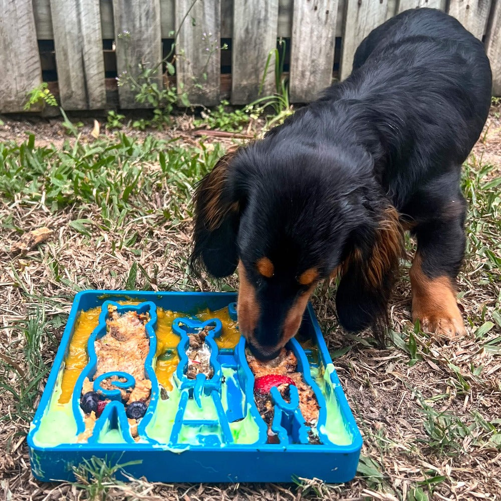 Waiting Dogs eTray - Shallow Slow Feeder Bowl for Enrichment