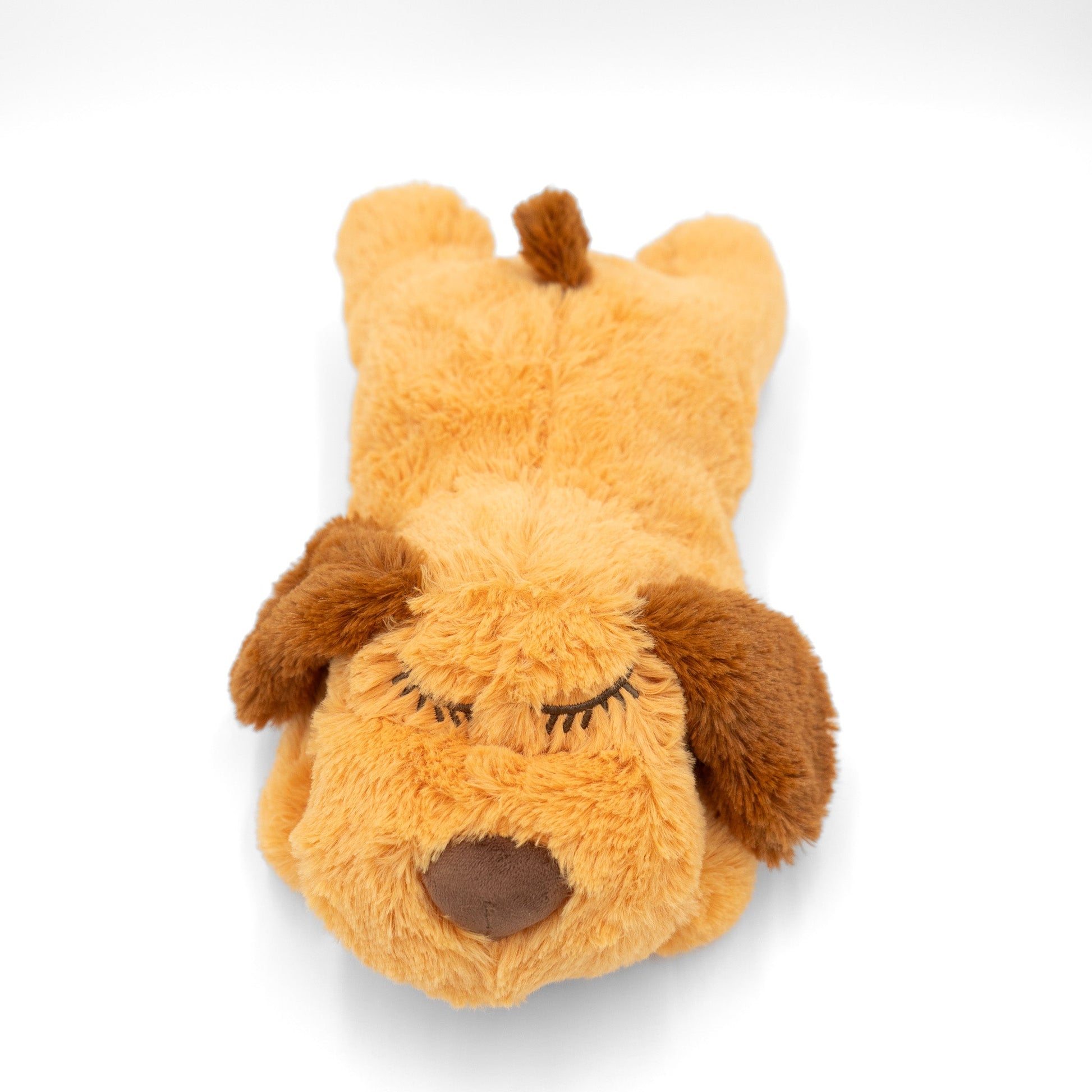 Zen Pup - Wasatch Pup