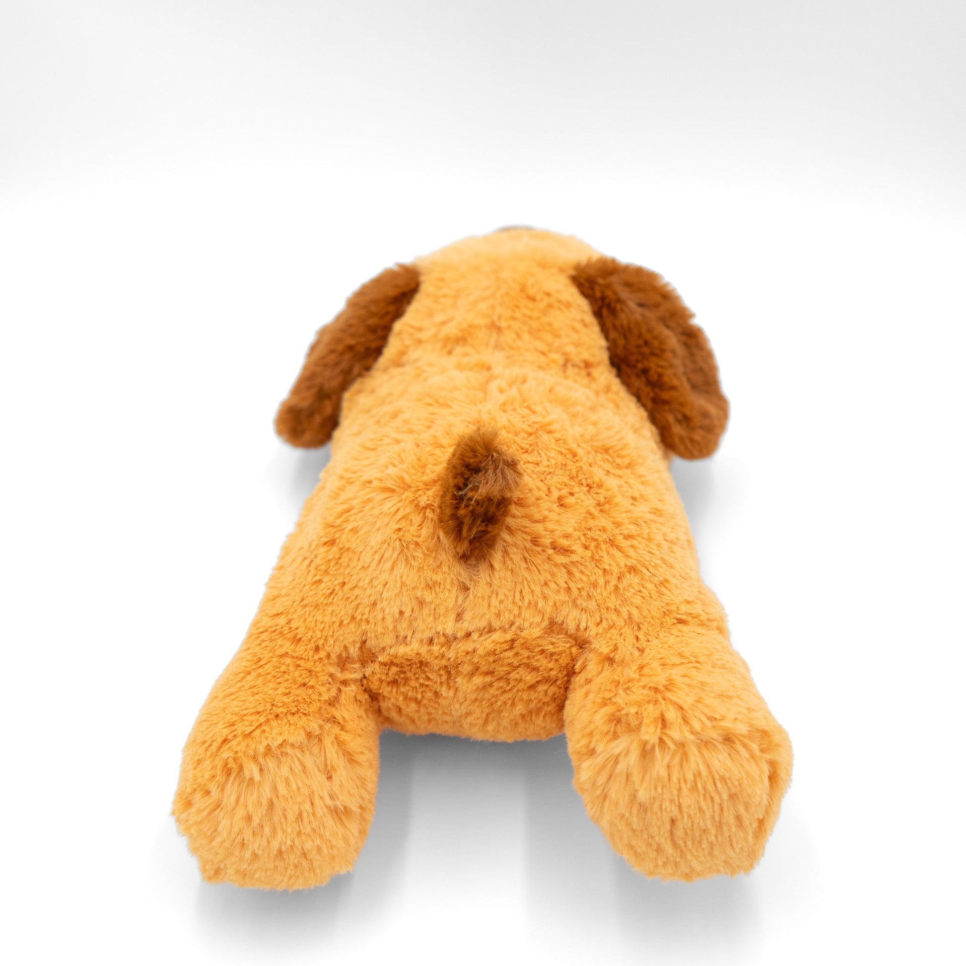 Zen Pup - Wasatch Pup