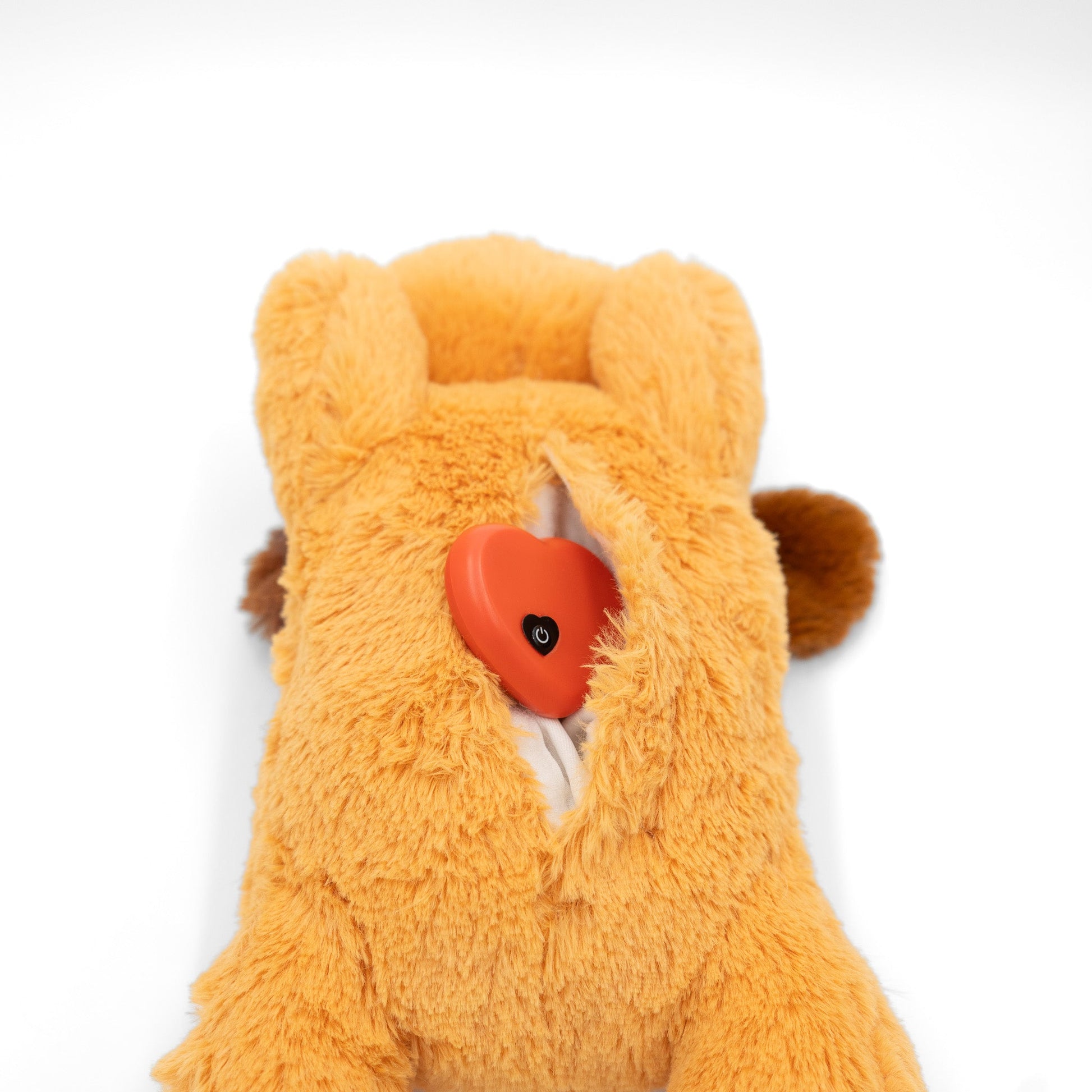 Zen Pup - Wasatch Pup