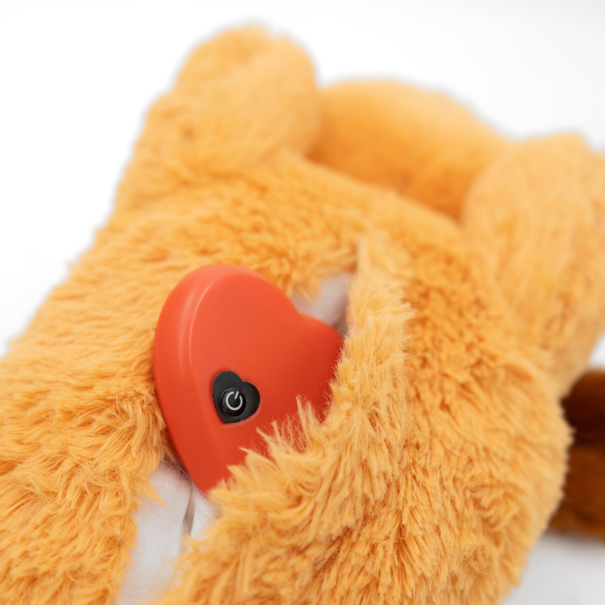 Zen Pup - Wasatch Pup