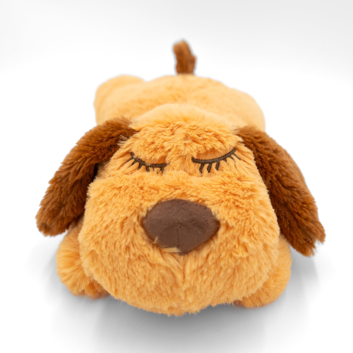 Zen Pup - Wasatch Pup