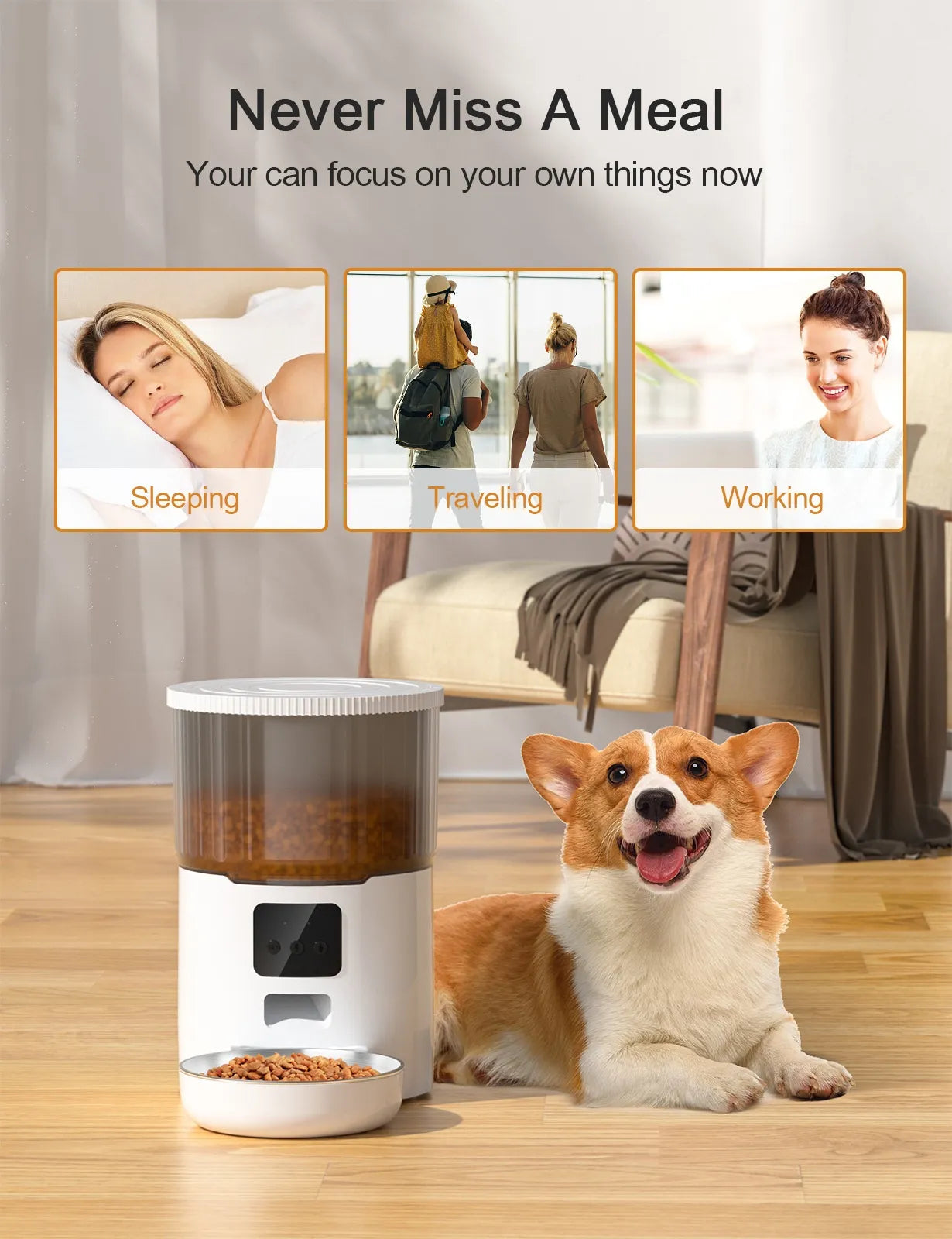 Royal Smart Automatic Pet Feeder Programmable Voice 👑