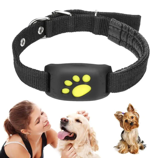 Pet GPS Tracker Collar - Pet GPS Tracking Collar - Mimarta