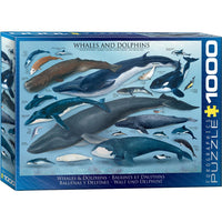 Whales & Dolphins 1000 Piece Jigsaw Puzzle Eurographics