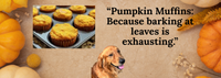 Organic Pumpkin Muffins for Dogs | Human-Grade & Handmade