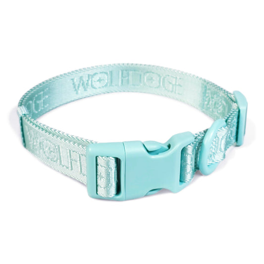 Dog Collar Nylon Quick Release Adjustable Lightweight 🐕