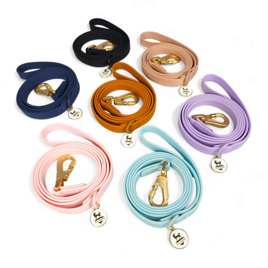 Waterproof Leash - Purrfect Pet Kingdom
