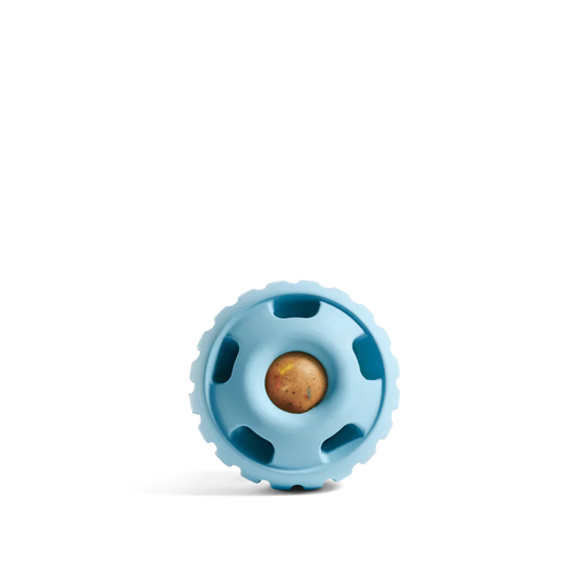 Woof Dog Pupsicle Birthday Dog Toy Large Interactive Dog Toy