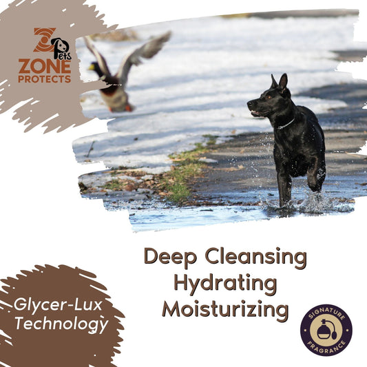 Black dog running in water. Deep Cleansing Hydrating Moisturizing shampoo with Glycer-Lux Tech & Signature Fragrance.