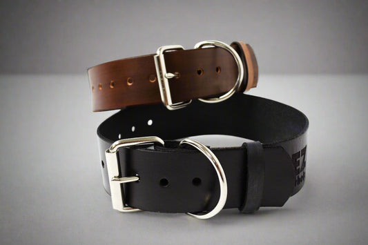Leather Dog Collar - EZwhelp