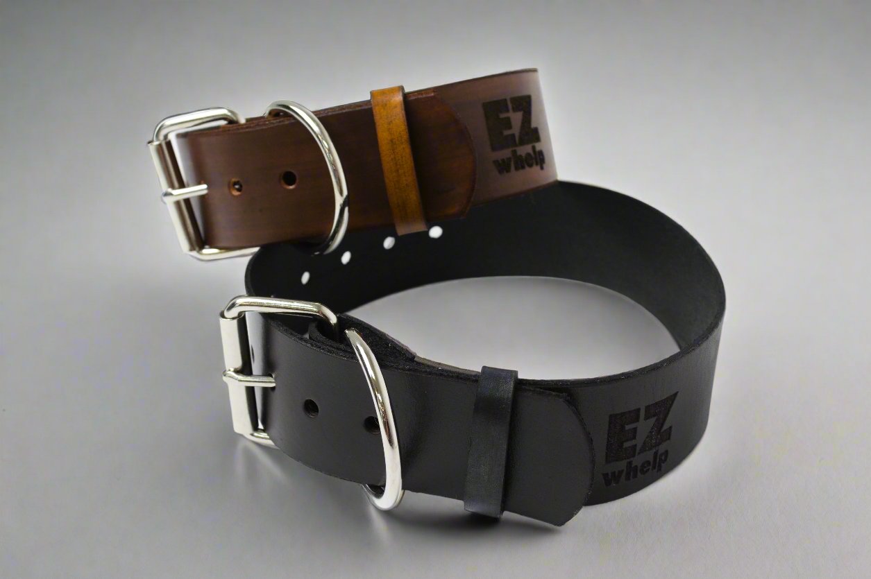 Leather Dog Collar - EZwhelp