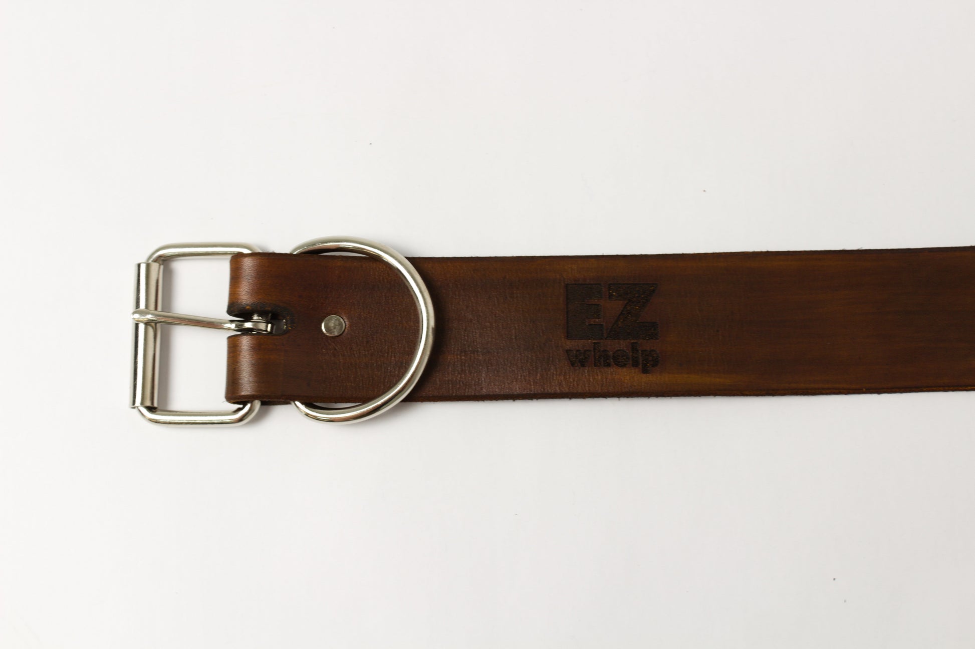 Leather Dog Collar - EZwhelp
