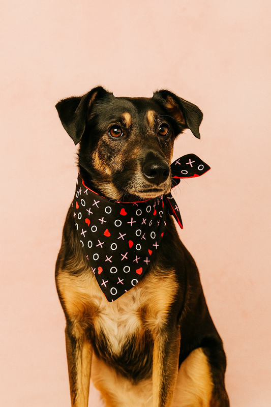 XO Valentines Dog Bandana