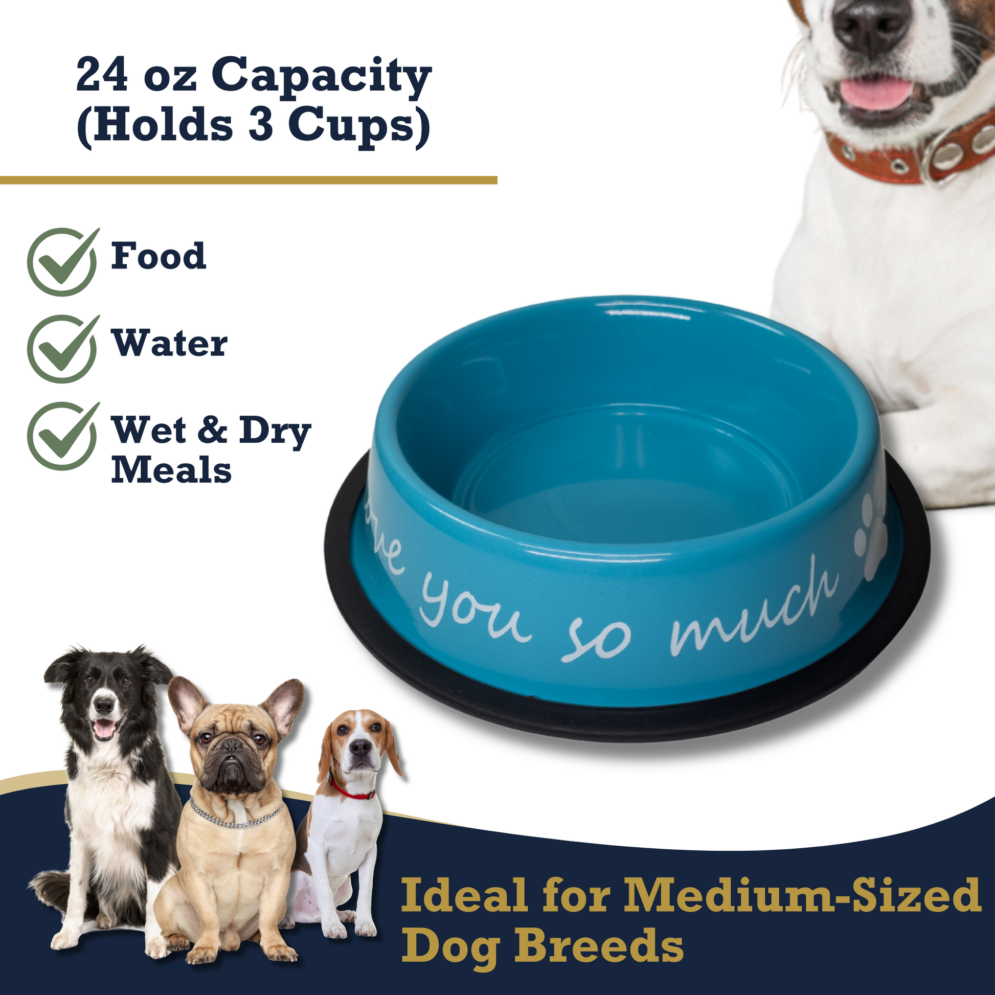 I LOVE YOU SO MUCH Modern Stainless Steel Dog Bowl – 24oz - Purrfect Pet Kingdom