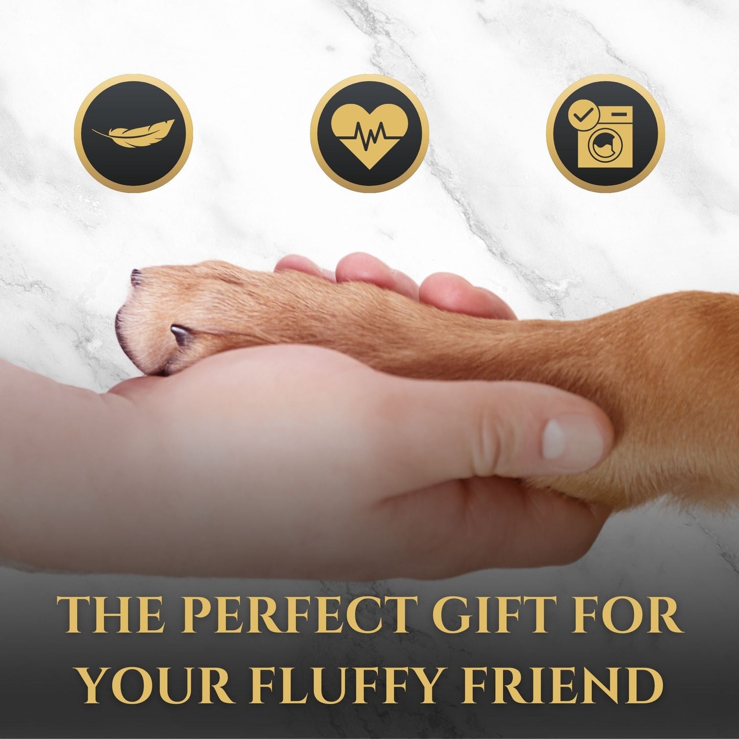 Zen Pup - Wasatch Pup