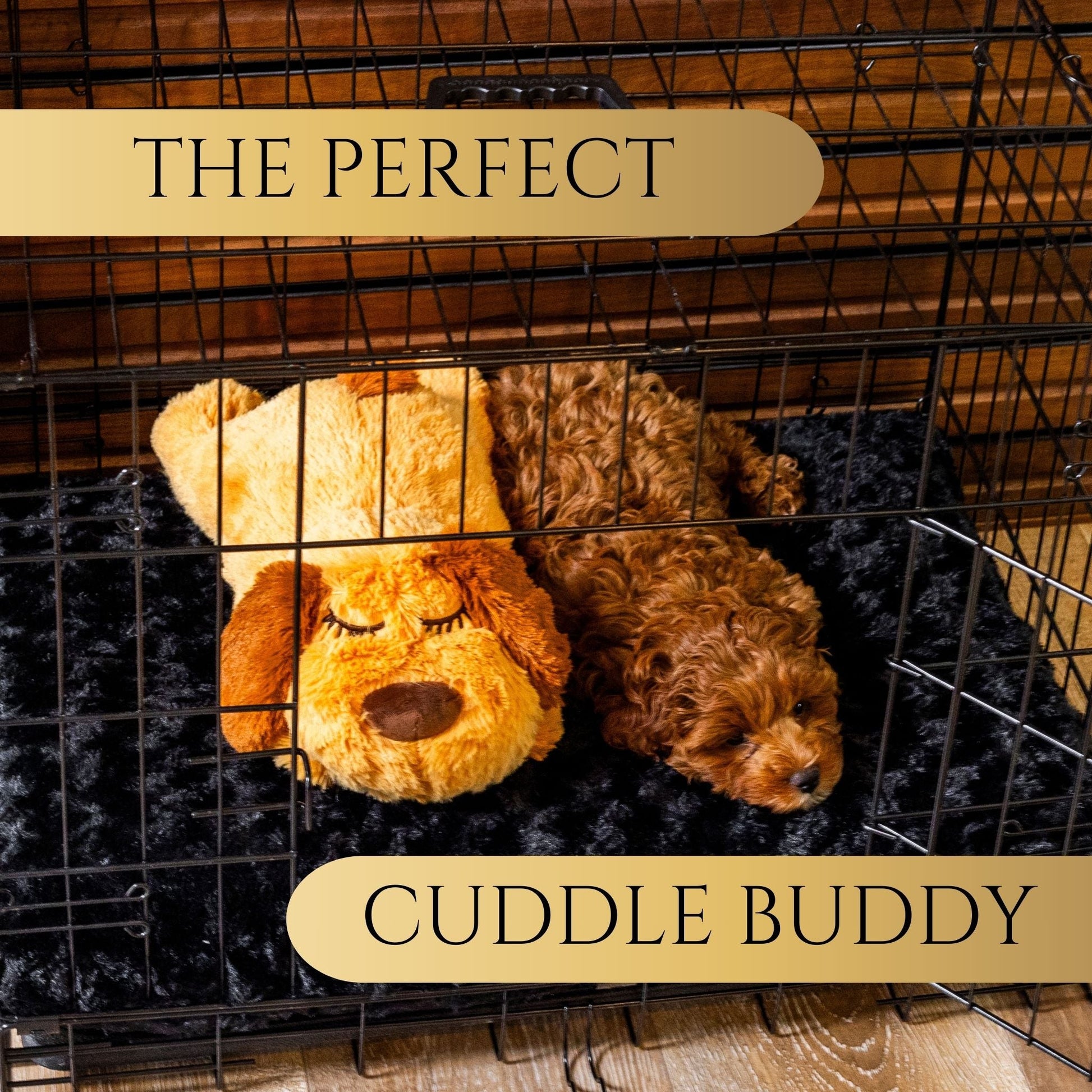 Zen Pup - Wasatch Pup