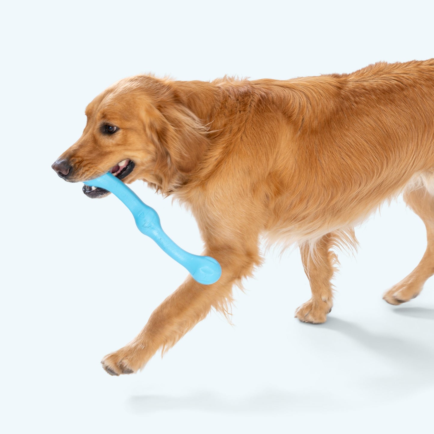 Pet Toy Toy Zwig for for Daily Use for Comfort for Pet Care - size and texture image for pet toy