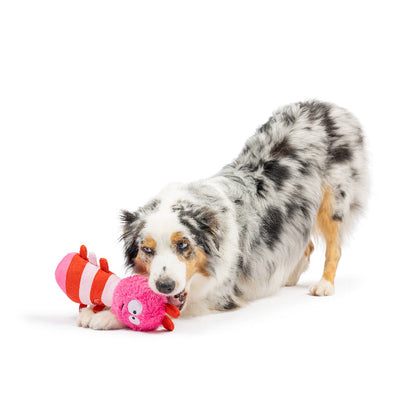 Fetchies Love Bug Plush Dog Toy