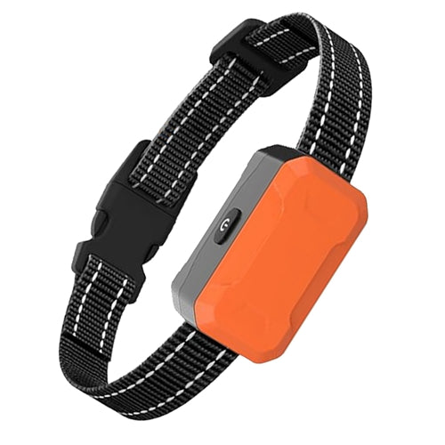 GBruno 2 In 1 Wireless Electric Dog Fence