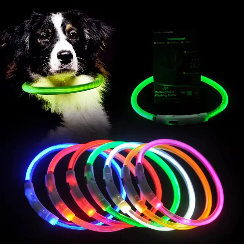 Night walk dog USB charging Light dog collar Led night light battery dog loss prevention puppy cat collar