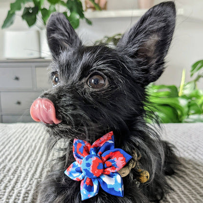American Tie Dye Pinwheel Pet Collar Attachment - 2 Sizes