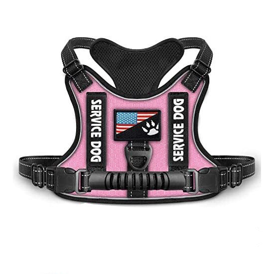 Shock Absorption Comfortable Night Vision Reflective Pet