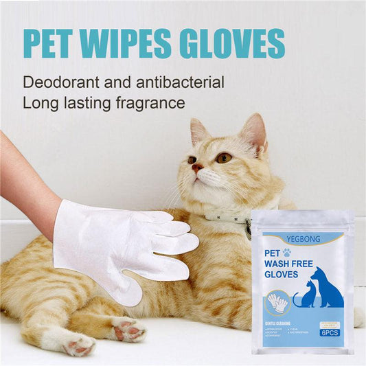 Pet Care Essentials: 6-Pack Of Disposable Non-Woven Gloves For A Clean And Happy Home by Dog Hugs Cat
