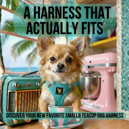 Purrfect Pet Kingdom EcoBark Step In Dog Harness - XXXS to Small Breeds- Reflecti (XL (20 to 26 lbs)) - Premium Dog Harnesses