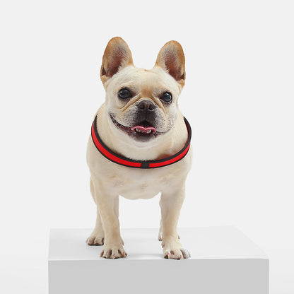 Small Dog Leather Chest Strap