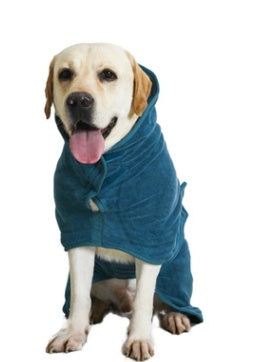 Labrador in an absorbent pet bathrobe, perfect for post-bath drying and comfort
