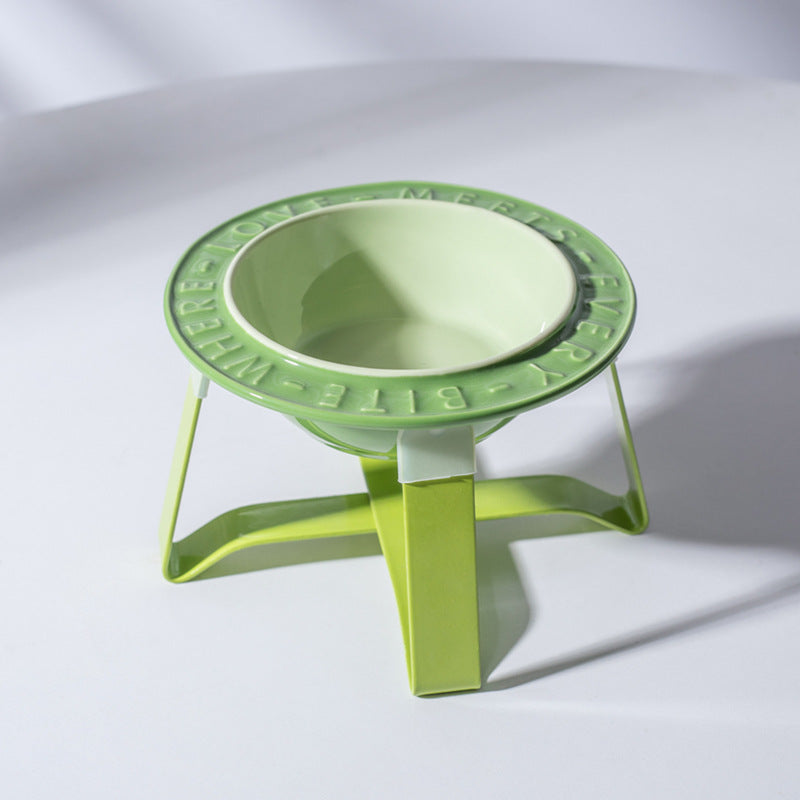Ceramic Elevated Cat Bowl for Healthy Neck and Spine Relief