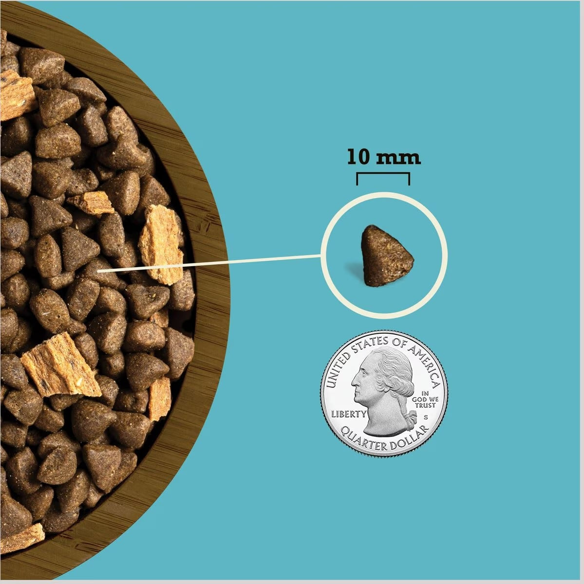 Close-up of Acana grain free salmon dog food kibble size comparison with a quarter for scale